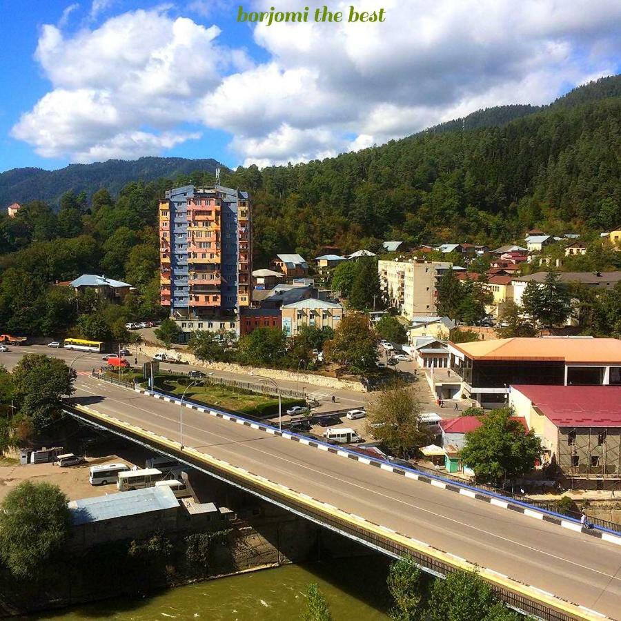Family Apartment Borjomi Dış mekan fotoğraf